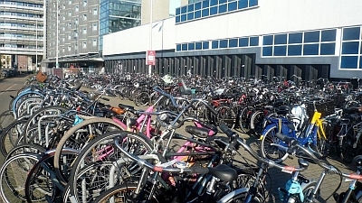 Fahrrder haben immer Vorrang 