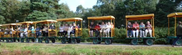 durch die Blaubeerplantage