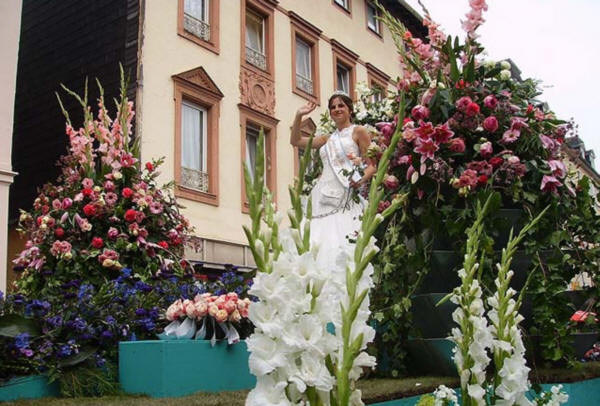 Wagen aus dem Korso Wagen aus dem Korso